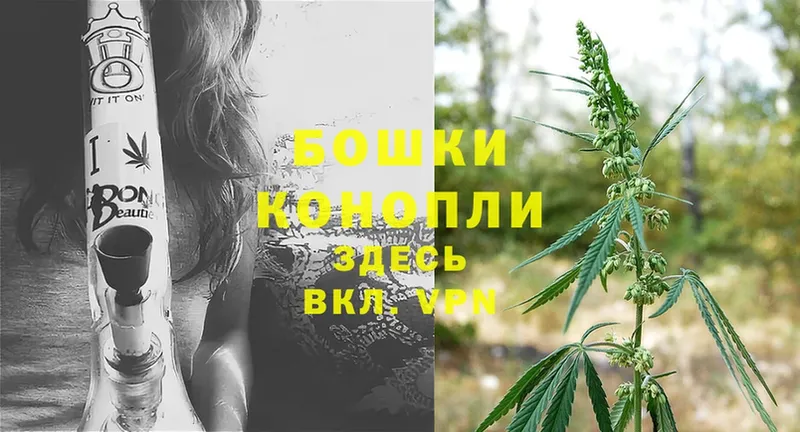 хочу наркоту  MEGA рабочий сайт  Шишки марихуана White Widow  Алексин 